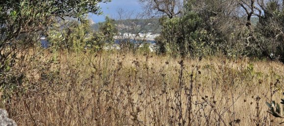 5 bedrooms House in Galatone, Italy No. 311022 37