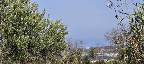 5 bedrooms House in Galatone, Italy No. 311022 16