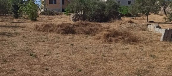 5 bedrooms House in Galatone, Italy No. 311022 15