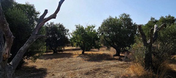 5 bedrooms House in Galatone, Italy No. 311022 41