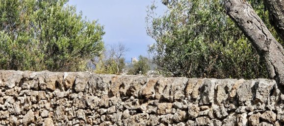 5 bedrooms House in Galatone, Italy No. 311022 17