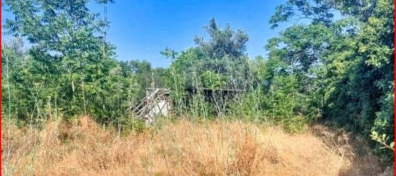 1447m² Land in Mascalucia, Italy No. 265640 5