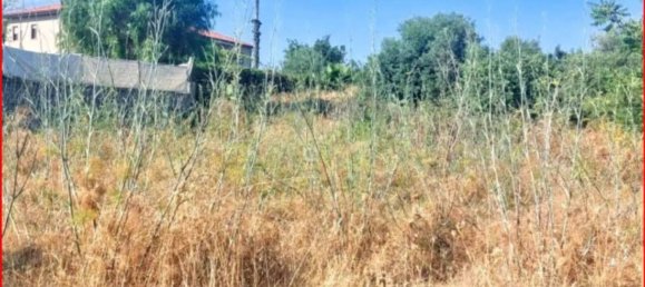 1447m² Land in Mascalucia, Italy No. 265640 3