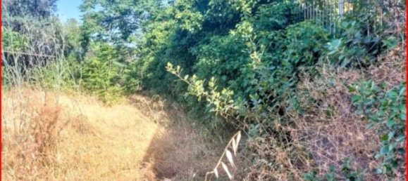 1447m² Land in Mascalucia, Italy No. 265640 4