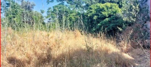 1447m² Land in Mascalucia, Italy No. 265640 8