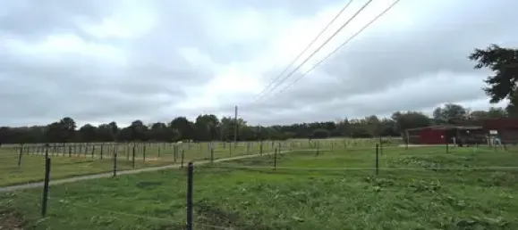 Grundstück in Ostprignitz-Ruppin, Germany, Nr. 63982 5