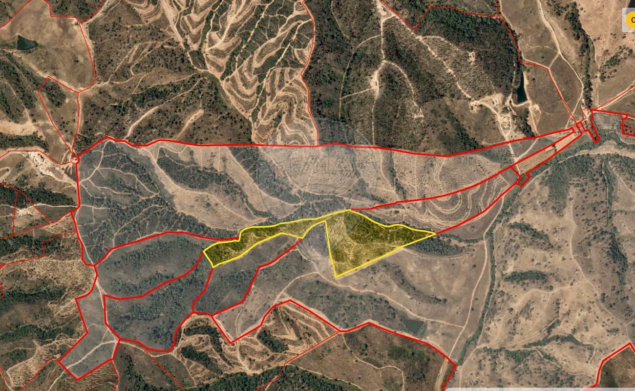 Terrain à Sao Teotonio, Portugal 55700m² No. 55604