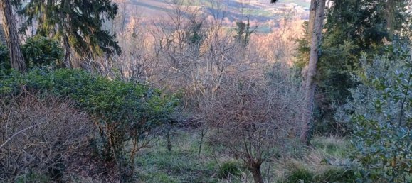 4-Zimmer Villa in Montescudo Monte Colombo, Italy, Nr. 205083 10