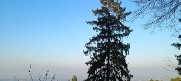 4-Zimmer Villa in Montescudo Monte Colombo, Italy, Nr. 205083 43