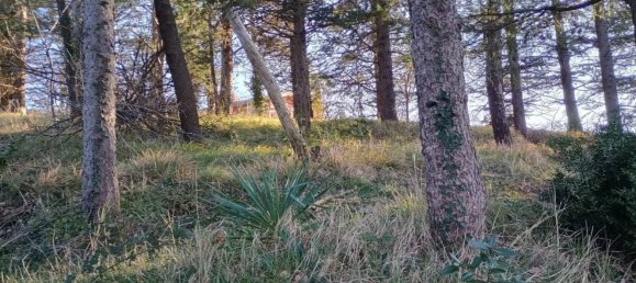 4-Zimmer Villa in Montescudo Monte Colombo, Italy, Nr. 205083 12