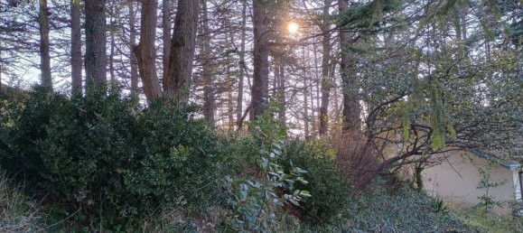 4-Zimmer Villa in Montescudo Monte Colombo, Italy, Nr. 205083 34