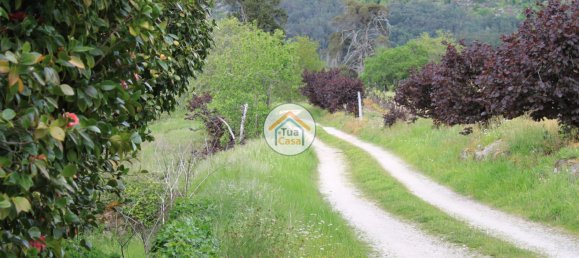 5 bedrooms House in Silgueiros, Portugal No. 58255 10