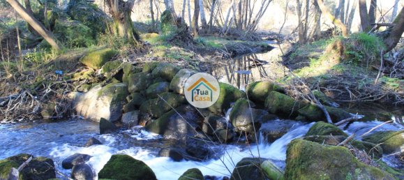 5 bedrooms House in Silgueiros, Portugal No. 58255 18