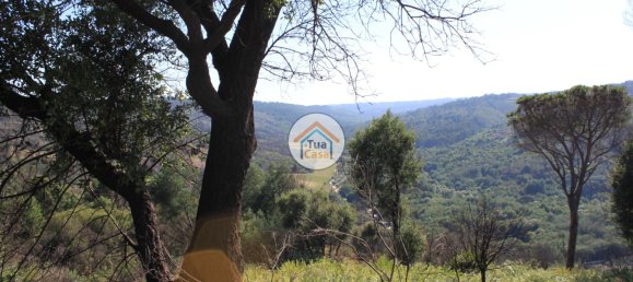 5 bedrooms House in Silgueiros, Portugal No. 58255 27