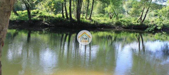 5 bedrooms House in Silgueiros, Portugal No. 58255 16