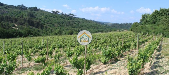 5 bedrooms House in Silgueiros, Portugal No. 58255 13