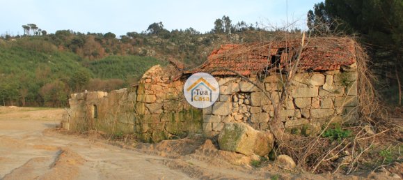 5 bedrooms House in Silgueiros, Portugal No. 58255 20