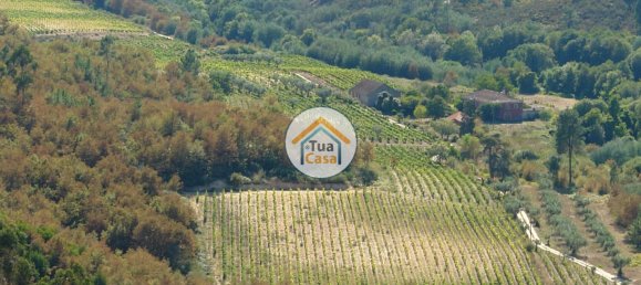 5 bedrooms House in Silgueiros, Portugal No. 58255 30