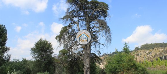 5 bedrooms House in Silgueiros, Portugal No. 58255 26