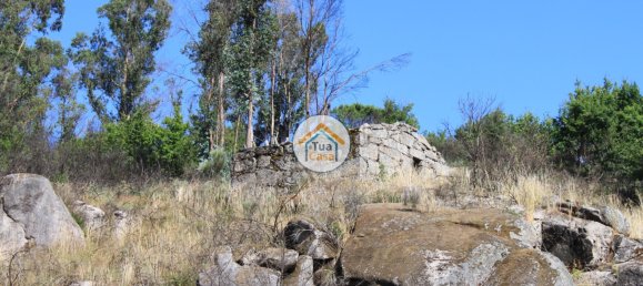 5 bedrooms House in Silgueiros, Portugal No. 58255 22