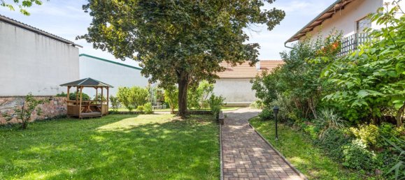 584m² Commercial property in Gols, Austria No. 129863 3