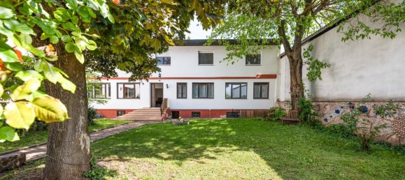 584m² Commercial property in Gols, Austria No. 129863 2