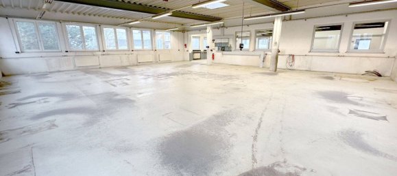 Коммерческая недвижимость 537м² в Меркиш, Германия № 127285 6