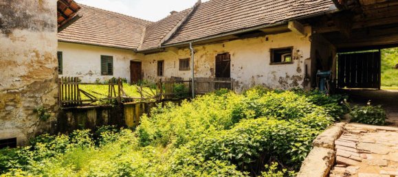 11 rooms House in Ilz, Austria No. 168303 10