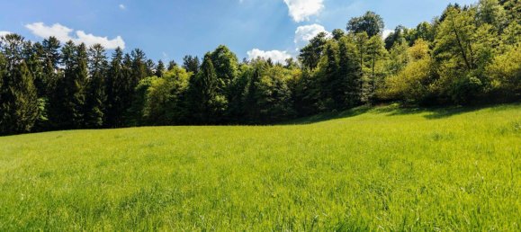 11 rooms House in Ilz, Austria No. 168303 24