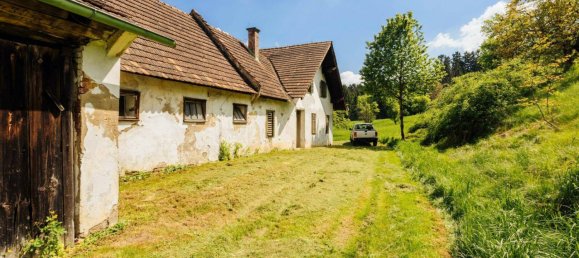 11 rooms House in Ilz, Austria No. 168303 2