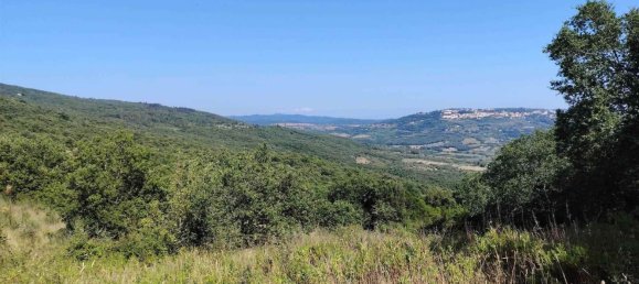 4غرفة فيلا في Massa Marittima, Italy رقم 222527 39