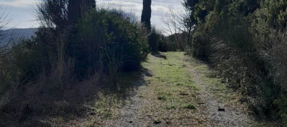 4غرفة فيلا في Massa Marittima, Italy رقم 222527 2