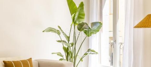 2 bedrooms Apartment in Ciutat Vella, Spain No. 135698 9