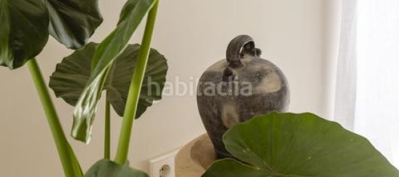 2 bedrooms Apartment in Ciutat Vella, Spain No. 135698 15