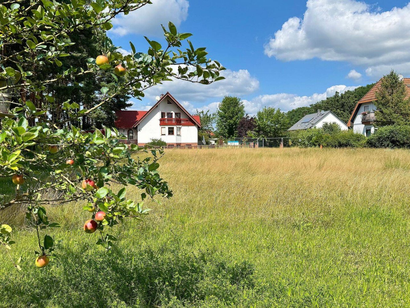 Земельный участок в Даме-Шпревальд, Германия № 292642