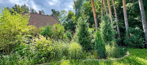 Земельный участок в Даме-Шпревальд, Германия № 292642 2