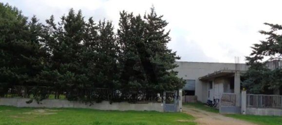 7-Zimmer Wohnung in Alghero, Italy, Nr. 13655 6