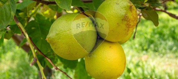  قطعة أرض في Calatabiano, Italy 60000متر مربع رقم 371657 11