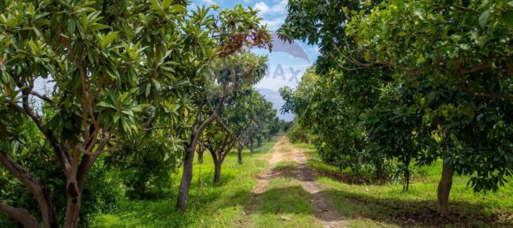  قطعة أرض في Calatabiano, Italy 60000متر مربع رقم 371657 13