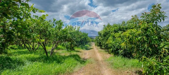  قطعة أرض في Calatabiano, Italy 60000متر مربع رقم 371657 9