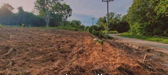 Gewerbliche Immobilie in Ko Kaeo, Thailand, Nr. 13381 7