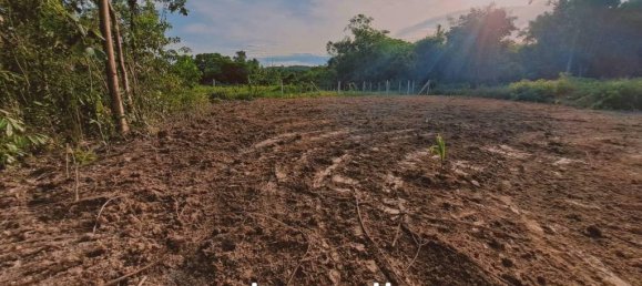 Gewerbliche Immobilie in Ko Kaeo, Thailand, Nr. 13381 4