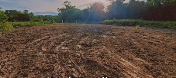 Gewerbliche Immobilie in Ko Kaeo, Thailand, Nr. 13381 8