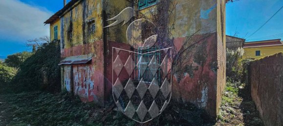 5-Zimmer Haus in Sarzana, Italy, Nr. 158358 4