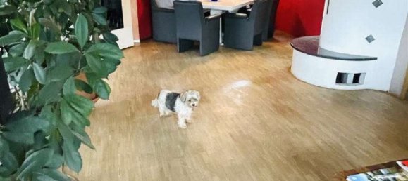 5-Zimmer Haus in Ostalbkreis, Germany, Nr. 111505 4