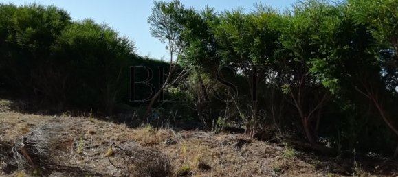 4 bedrooms Villa in Sintra, Portugal No. 163973 11