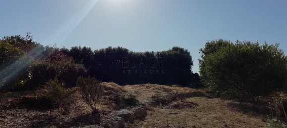 4 bedrooms Villa in Sintra, Portugal No. 163973 12