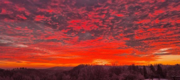 2 rooms Apartment in Goslar, Germany No. 371693 12