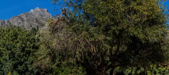  Land in Marbella, Spain No. 135576 21