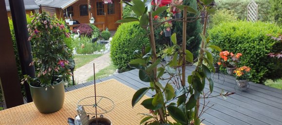 Casa de 5 divisões em Kronach, Germany N.º 355491 4